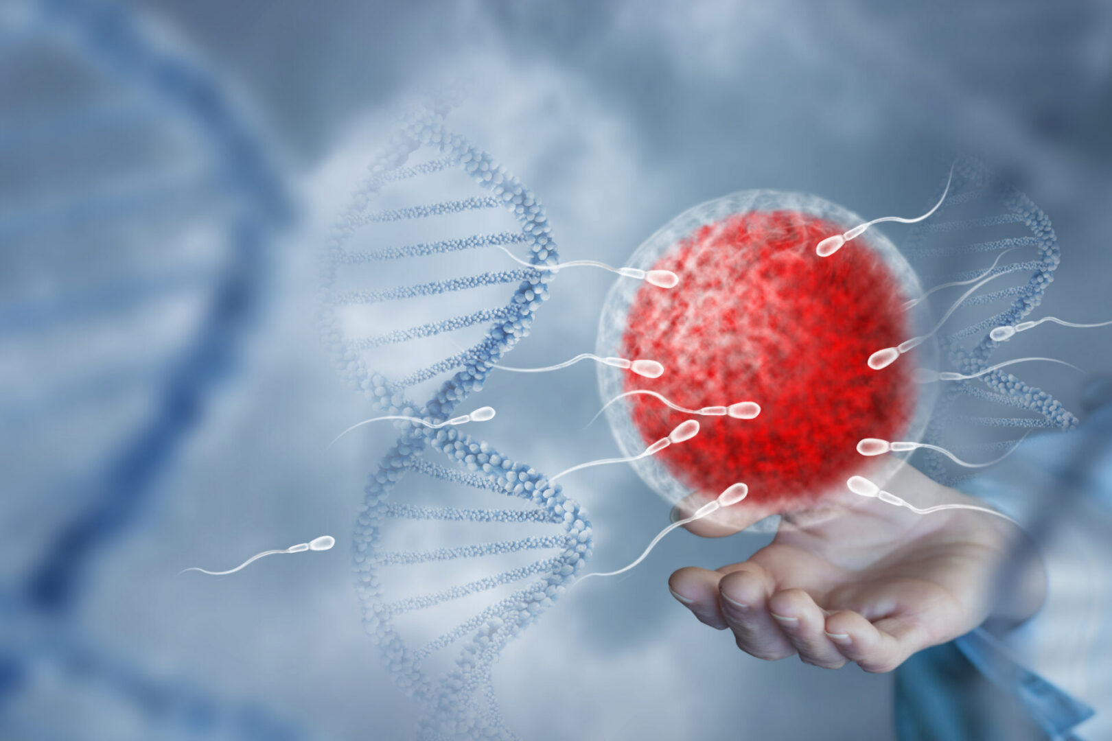 Hand shows artificial insemination on blurred background and DNA. Shows the egg and sperm on a blurred background.