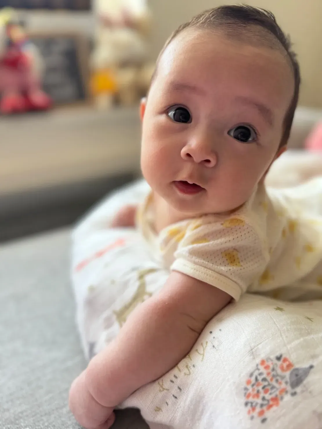 Baby lying on tummy, looking curious