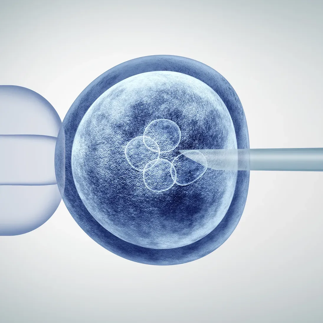 Embryo cell injection close-up