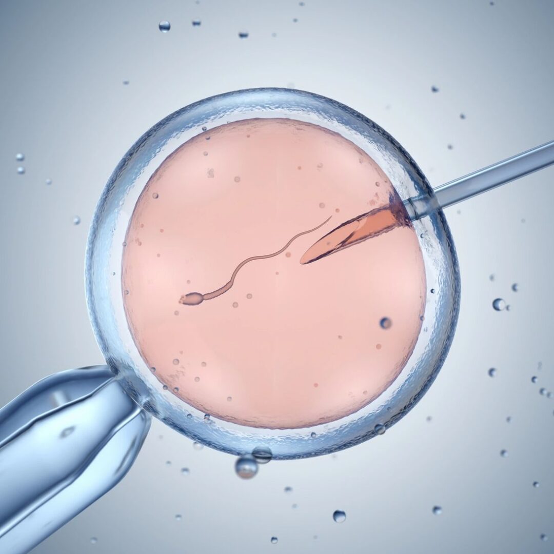 Assisted reproductive technology process illustration